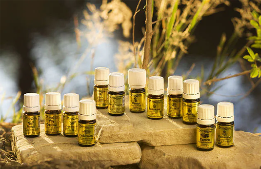 Colecție Oils of Ancient Scripture Young Living